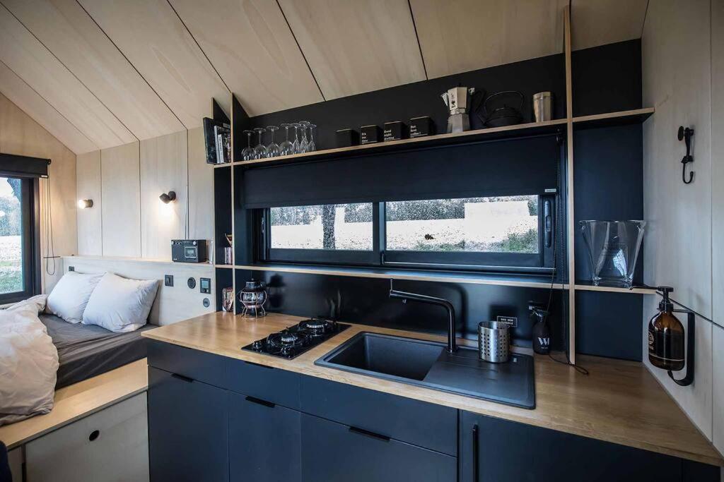 L'Envolee Ecolodge, Tiny House Au Coeur Des Vignes Loches-sur-Ource Eksteriør bilde